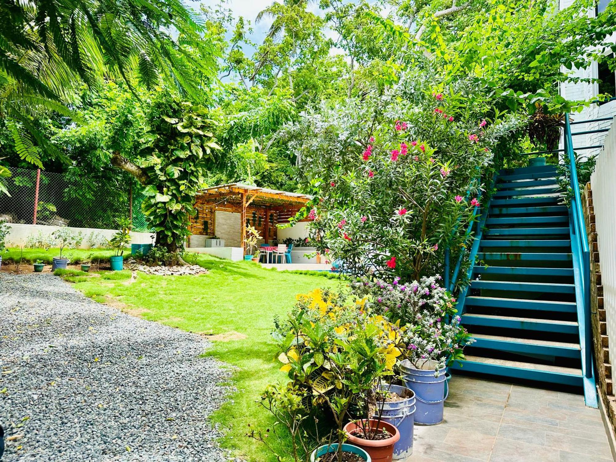 Inn Palmare House San Andres (San Andres and Providencia Islands)